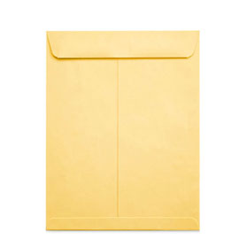 Bao Thư Vàng A4 Đl 100Gsm